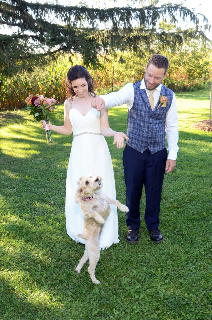 Wedding photographers London Ontario. Columbia Photos is wedding photography based in London Ontario. Owner and pro photographer is Phil Vanderpost.