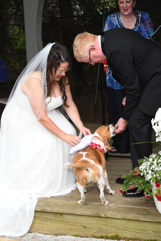 Beautiful wedding at Bellamere Winery and Event Centre by Columbia Photos of London Ontario