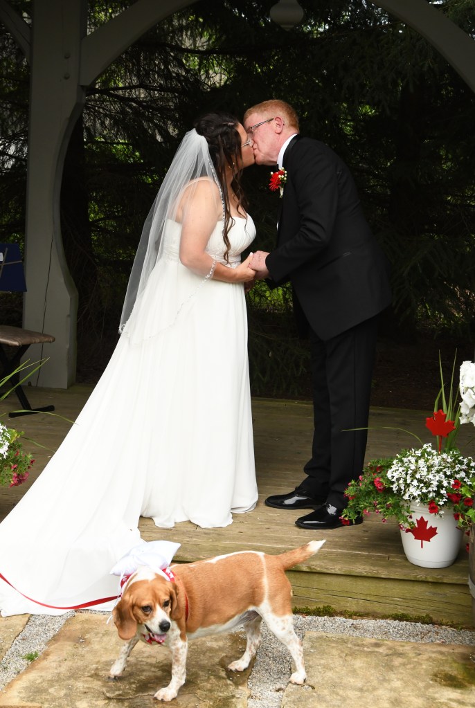 Beautiful wedding at Bellamere Winery and Event Centre by Columbia Photos of London Ontario