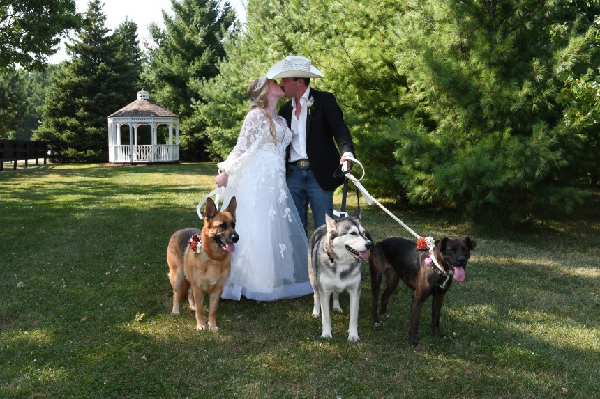 Beautiful country wedding at The Century Barn by Columbia Photos of London Ontario